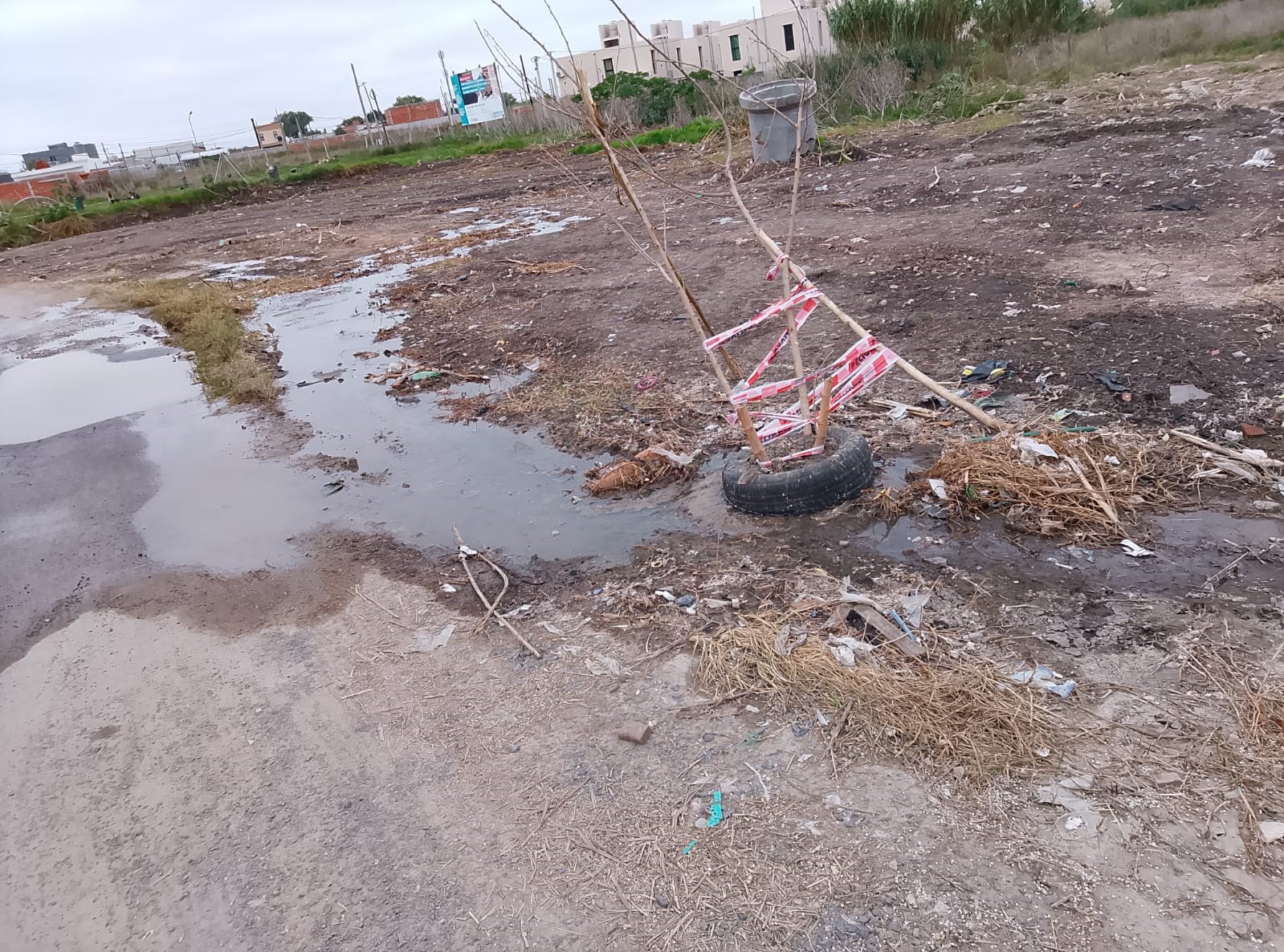 Desborde de cloacas y mal olor a metros de la Plaza Elvira Sotes