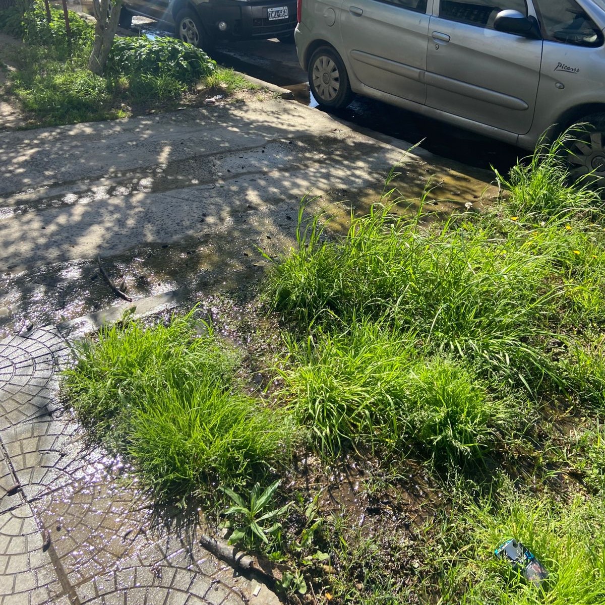 Denuncian tres pérdidas de agua en cien metros en el casco de Villa Elvira