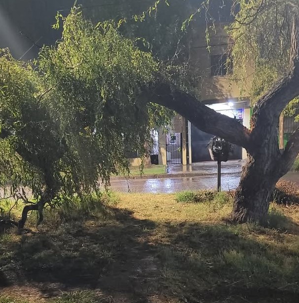 Arboles y postes caidos tras el paso de la última tormenta