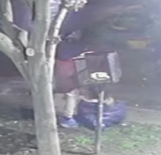 Vecinos sin respuestas ante los rompe bolsas en busca de comida