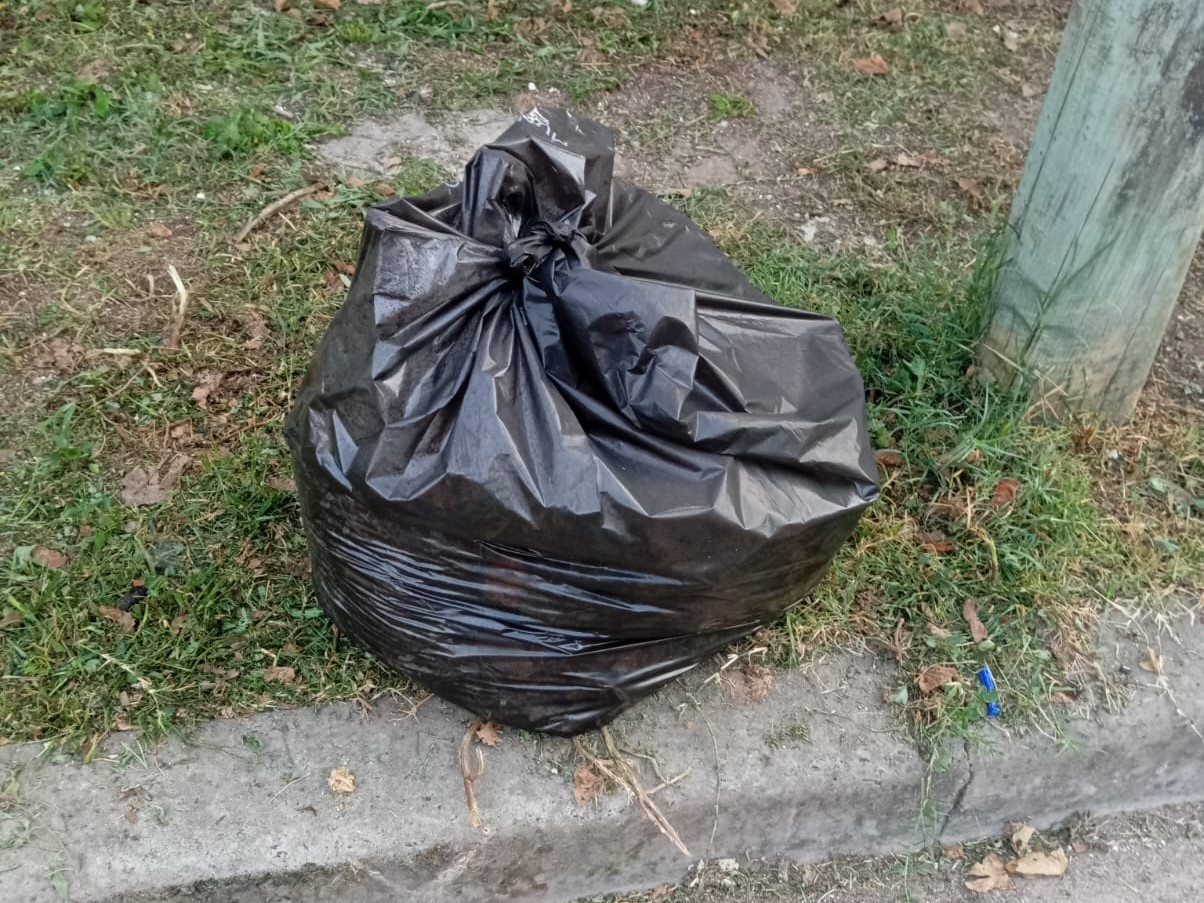 El Municipio trabaja en el Casco de Villa Elvira cortando pasto y haciendo limpieza