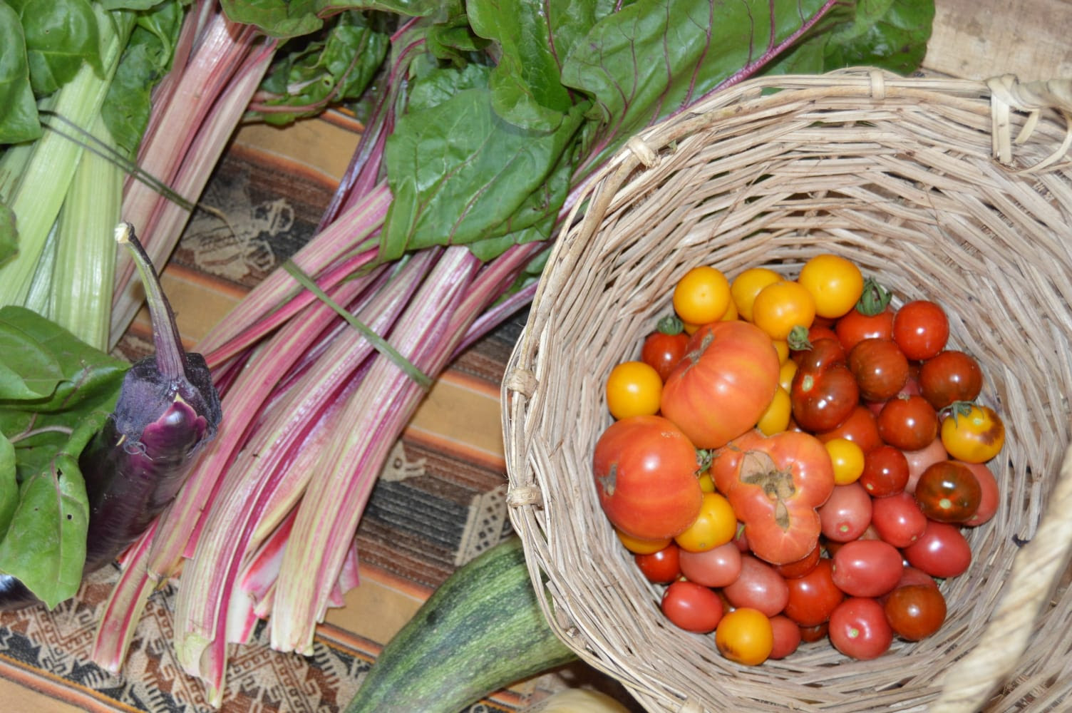 Agroecología, música y propuestas para toda la familia en una jornada al aire libre en Meridiano V