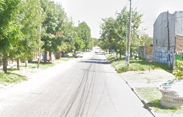 Oiga vecino: Por qué no me saca el árbol