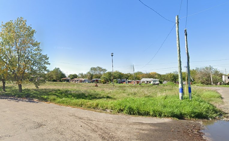 Pastizal, basura y roedores al bordo de la avenida 90