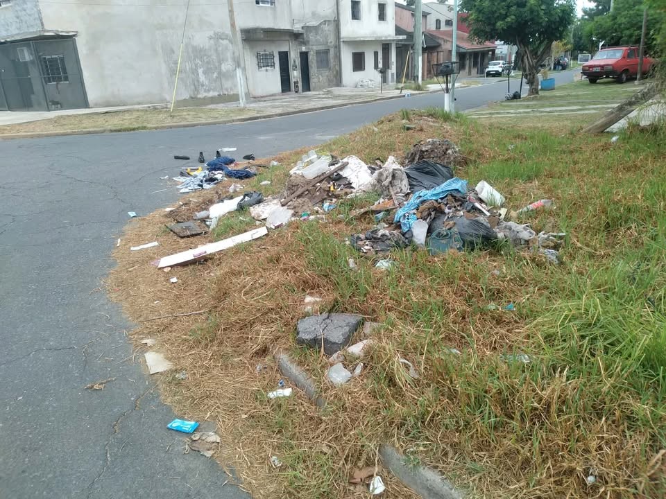 Llegó de trabajar y se encontró con un basural en la esquina del barrio