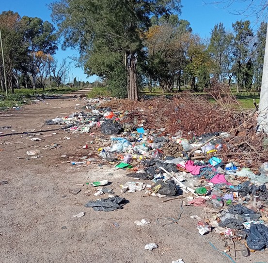 Concejal libertaria pidió por resolución la erradicación de basural en Villa Alba