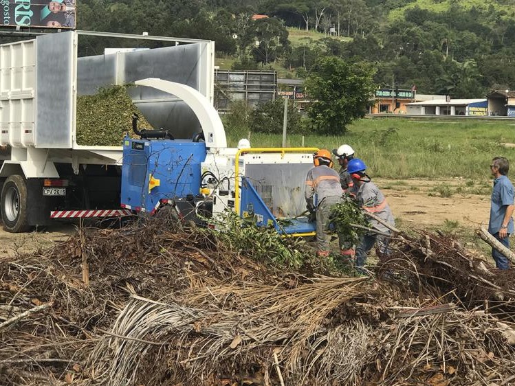 El vecino poda sin avisar y pretende un delivery inmediato de las ramas