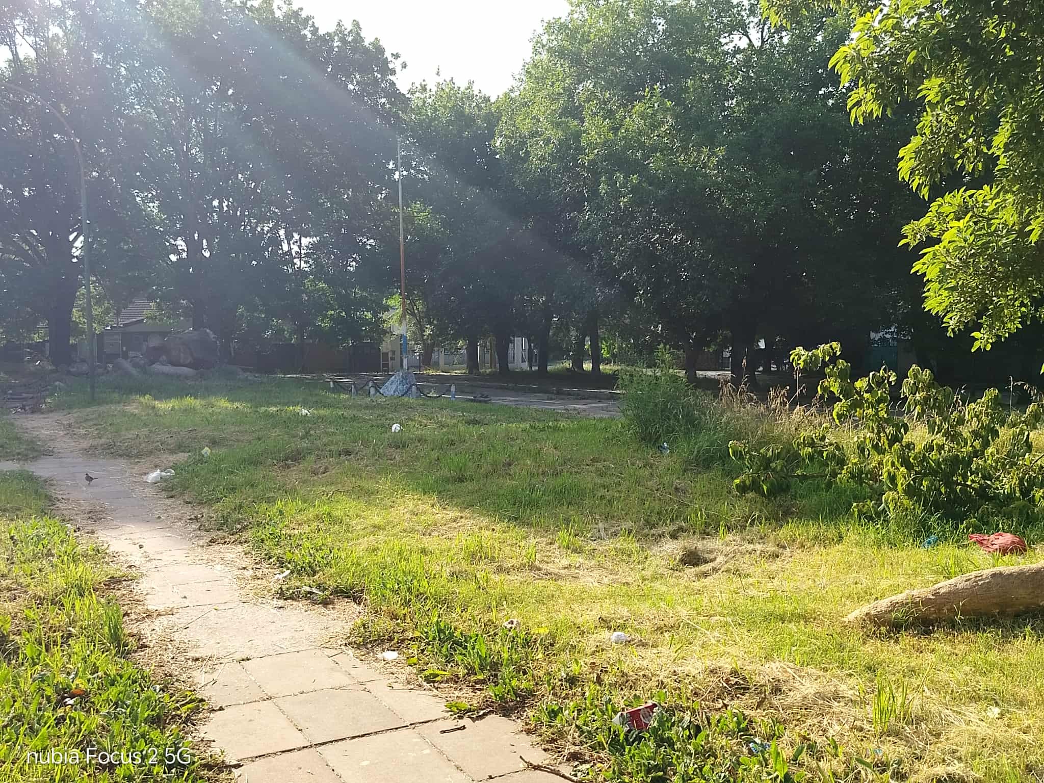 Vecinos reclaman corte de pasto y desmalezamiento en un importante sector de Villa Elvira