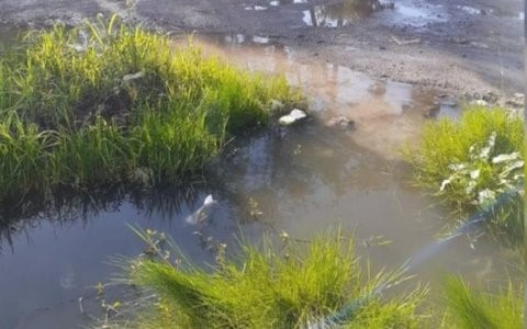 Rebalses por zanjas tapadas: Se impone la limpieza o reposición de cruces de calles