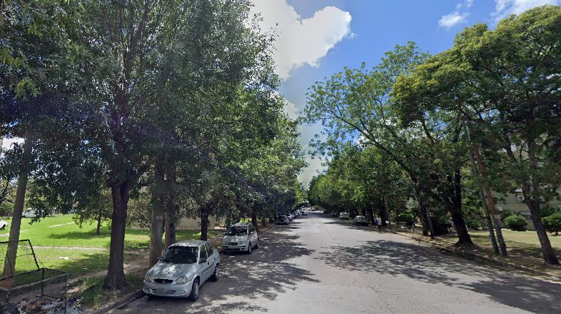Pobladores se impacientan ante la ausencia de podas en la región