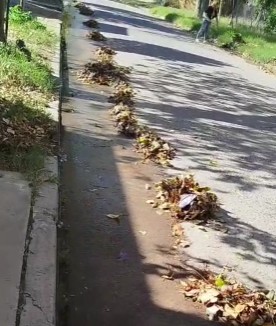 Preocupa la falta de limpieza en un barrio local