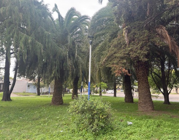 Reclaman por una plazoleta a oscuras en Barrio Jardin