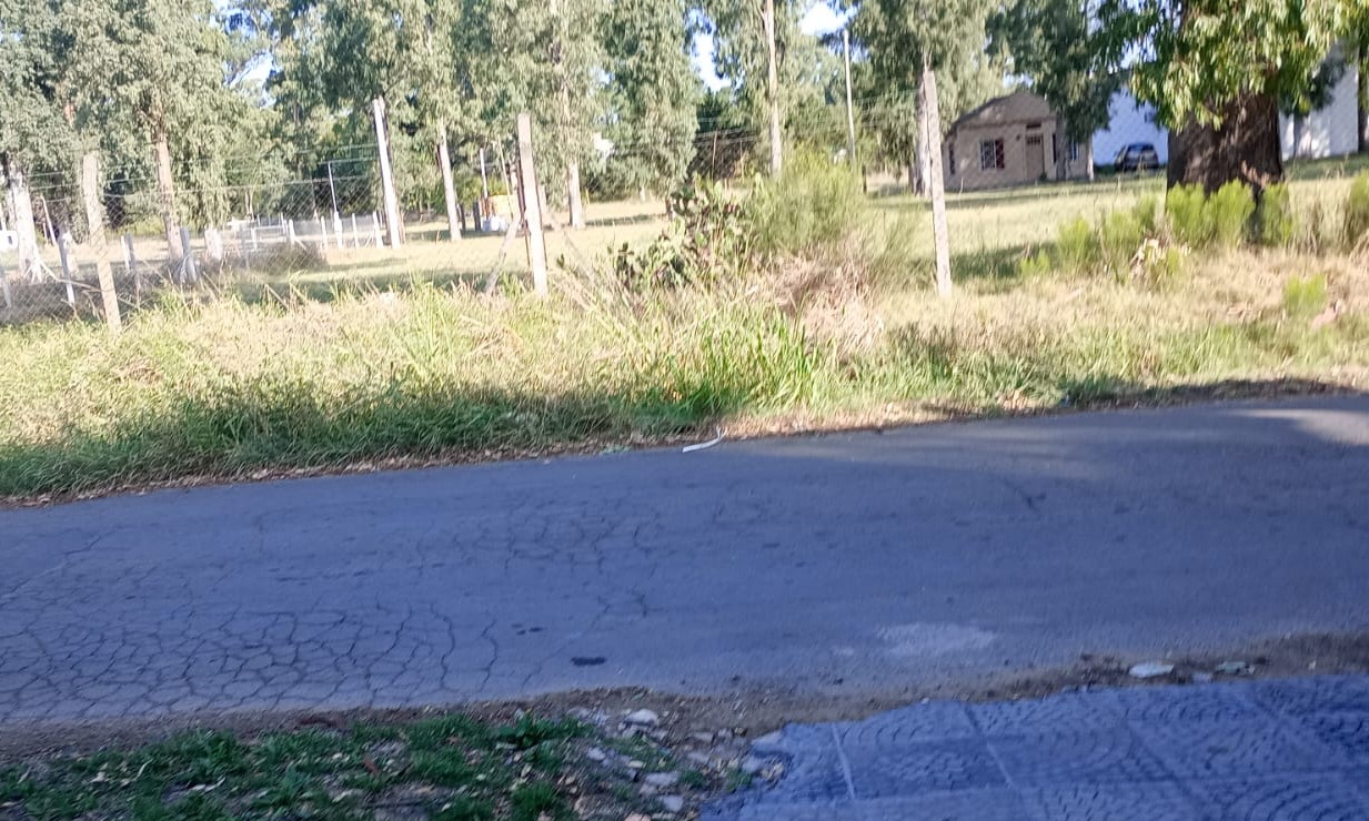 "10 reclamos y 2 denuncias para que nos corte el pasto y limpien las zanjas" explotó un vecino