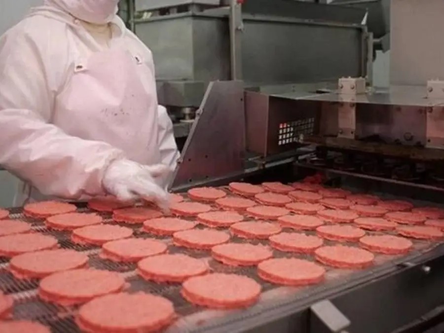 Tambalea Paty y suspende trabajadores: Como la carne y el cerdo podrían llegar hamburguesas importadas