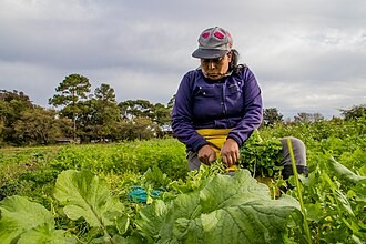 Encuentro de la agroecología en City Bell