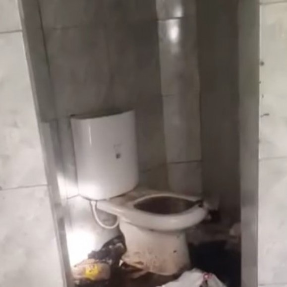 Vaya atrás el árbol o debajo de un puente: Baños del paseo del Bosque otra vez cerrados