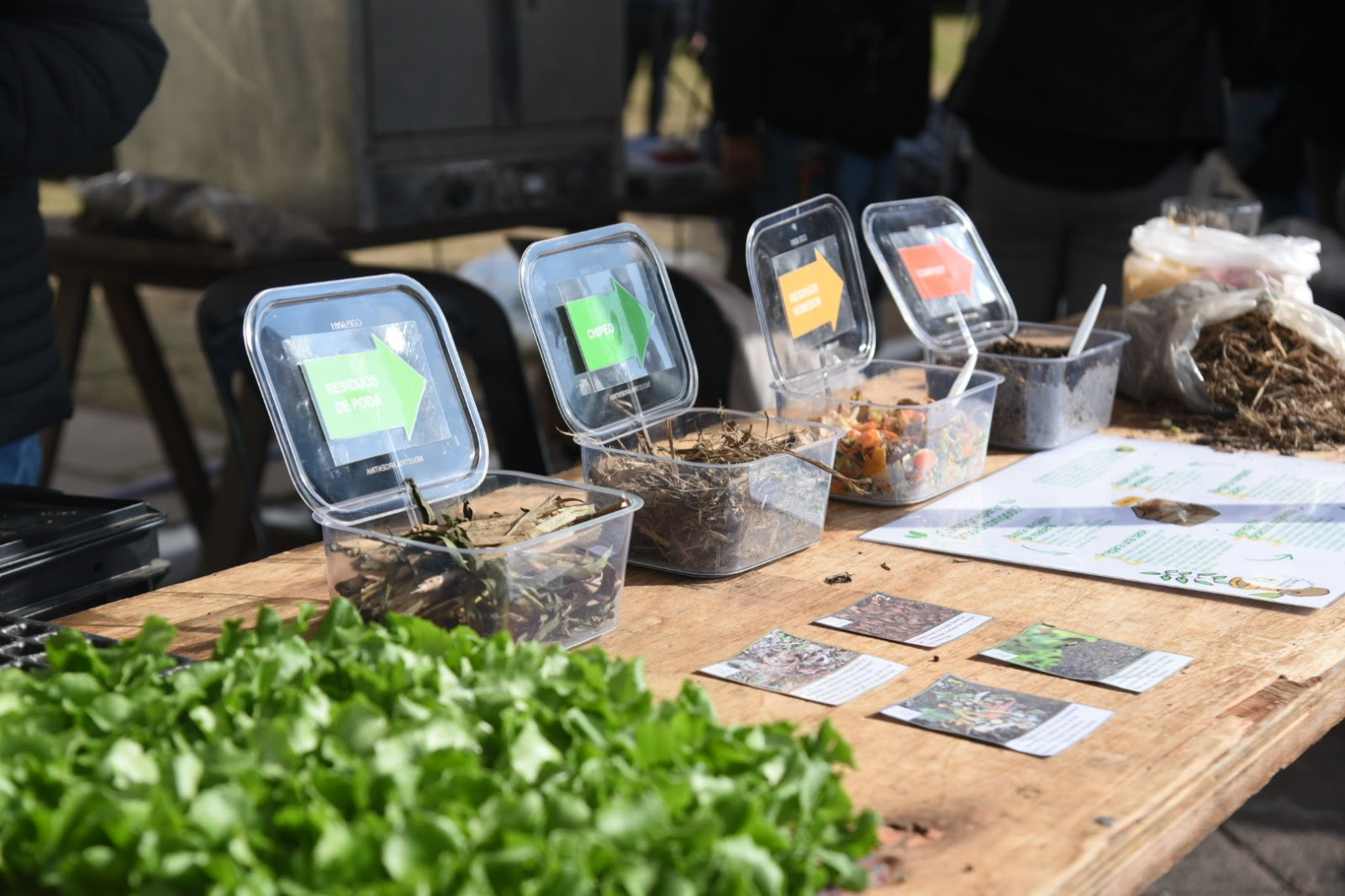Hoy en la Casa Ecológica: se conmemora el Día del Ambiente