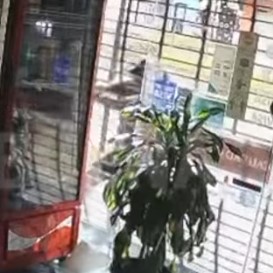Inseguridad : Robaron una carnicería en Avenida 13 entre 72 y 73