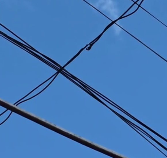 Vecino de 96 entre 12 y 13 denuncia que EDELAP no atiende sus reclamos por el cableado