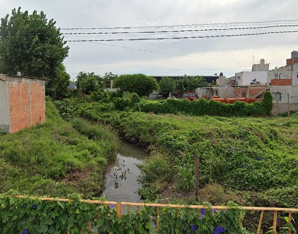 Proliferación de ratas en Los Hornos: Pobladores piden el Municipio combata a los roedores