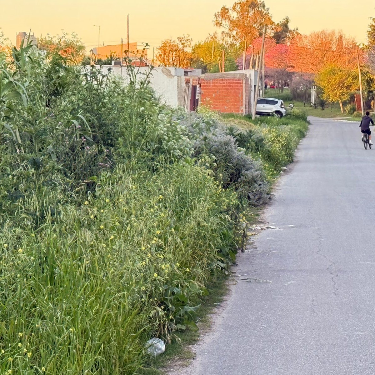 El Concejo Delibarante trata hoy varios quejas y pedidos de vecinos de Villa Elvira