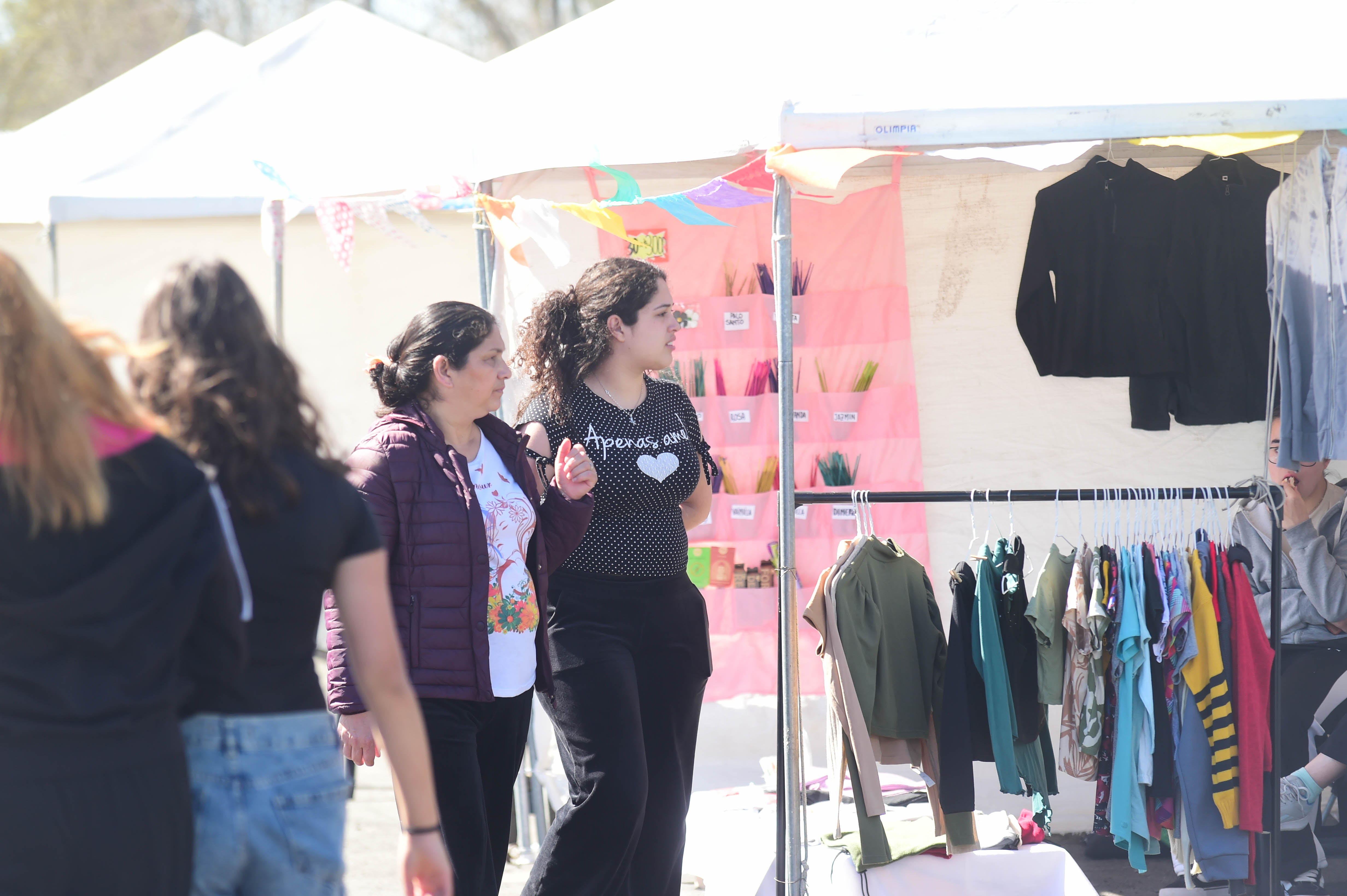 Todo para el hogar y la familia en el Paseo de Compras del Sur II