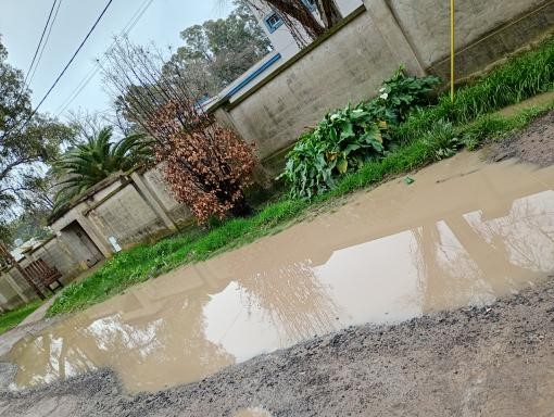 Reclamo por zanjas tapadas y mejorado de una calle muy transitada