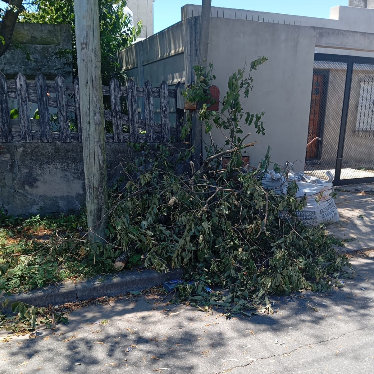 ESUR y la Delegación llevan a un barrio al borde del abandono