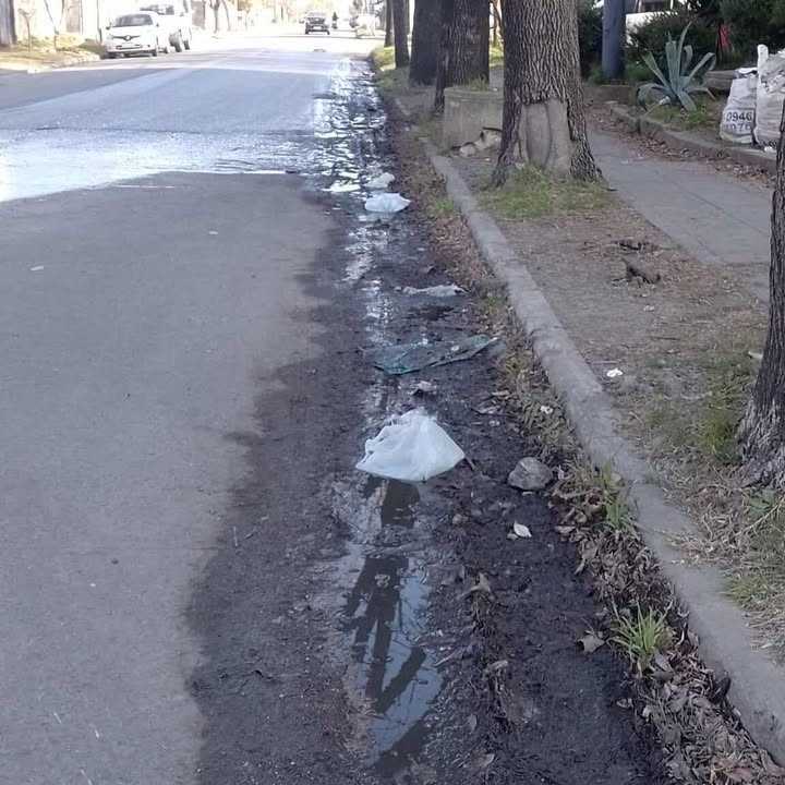 85 entre 12 y 13: Vecinos son víctimas de caídas producto del barro y el verdín