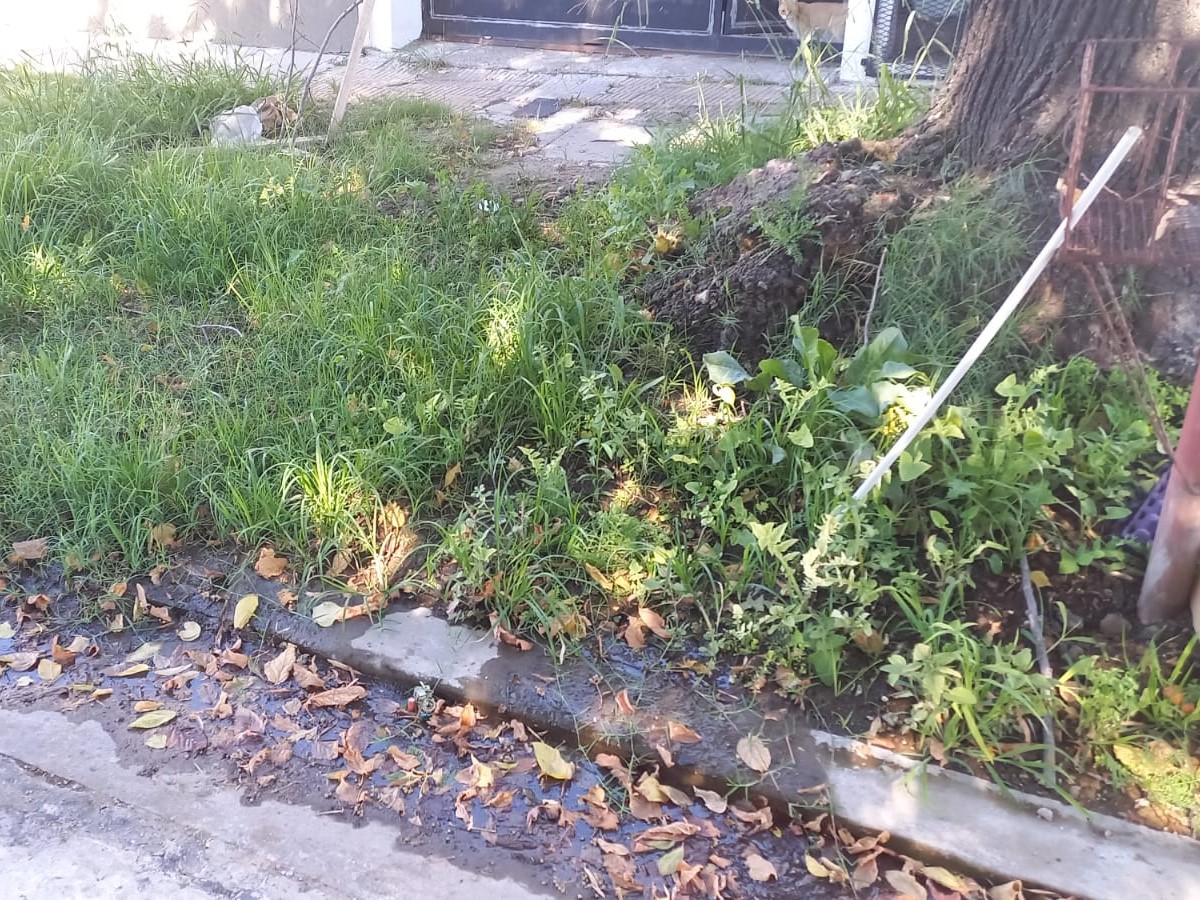 Vecina zona de Circunvalación alertó sobre los problemas que le traen aparejados una gran pérdida de agua sin resolver