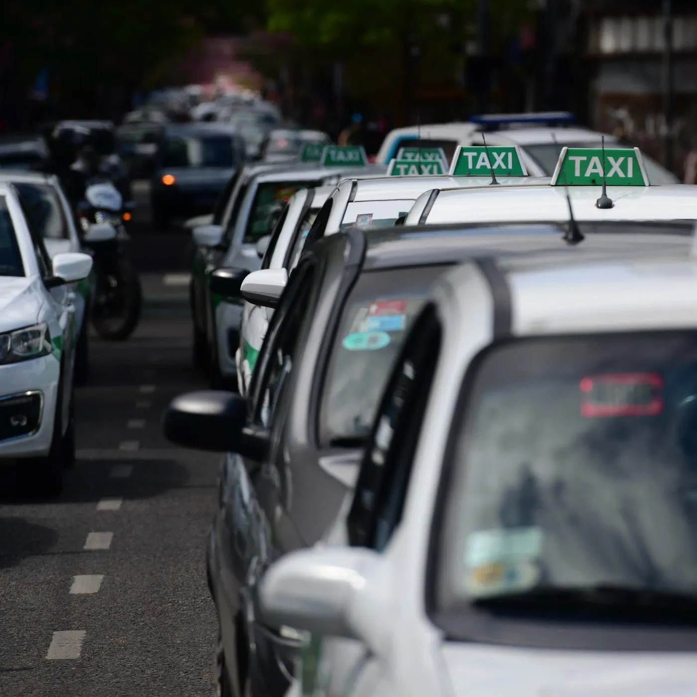 Taxistas platenses le piden a la comuna mayor control sobre el transporte ilegal: La falta de trabajo recrudece estas disputas
