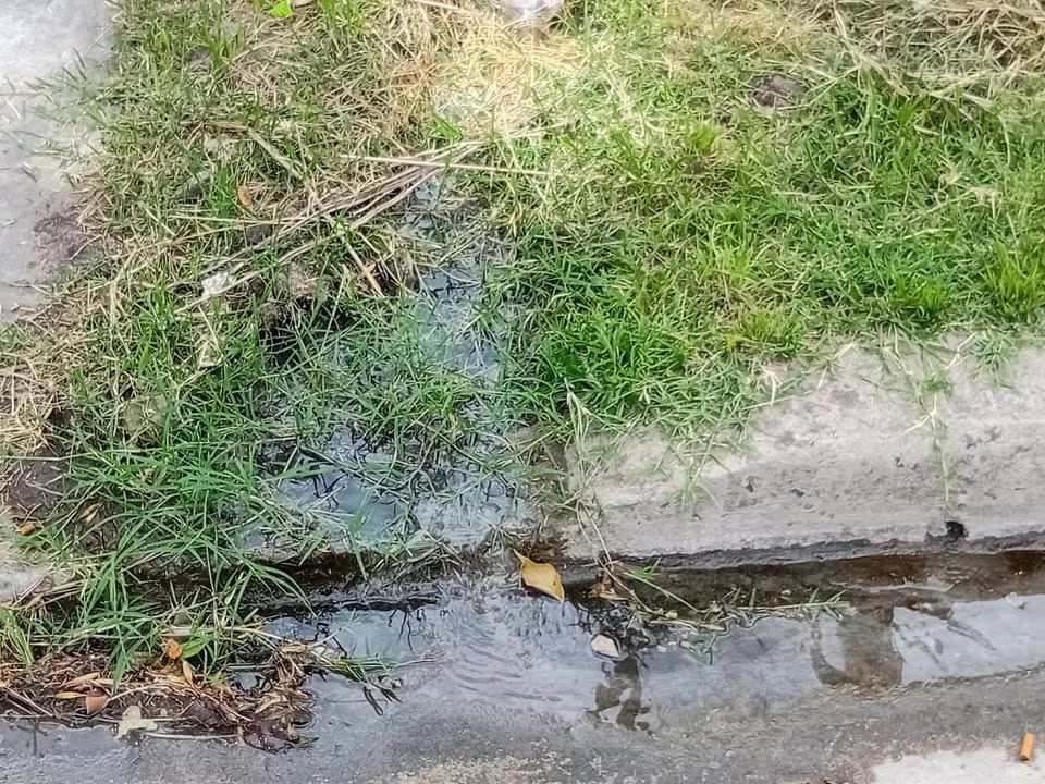 Una tortura: Explotó la cloaca frente a su casa hace ocho meses y no le encuentra solución