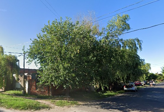 Reclamos de podas y de personal competente en Villa Elvira