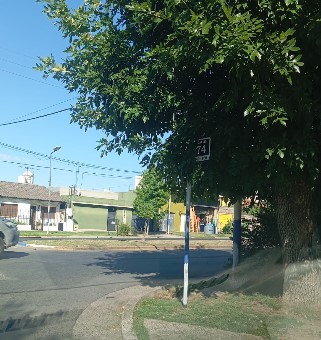 Poda estratégica y diagnóstico de situación de ejemplares