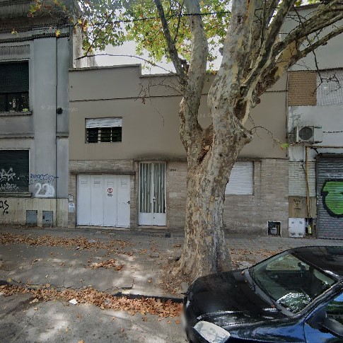 1 y 60: Vecino que tiene un enorme árbol en la puerta ya no sabe más que hacer para ser escuchado