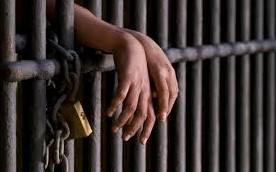 "Delito de adulto, pena para adulto" La Libertad Avanza busca la baja de imputabilidad