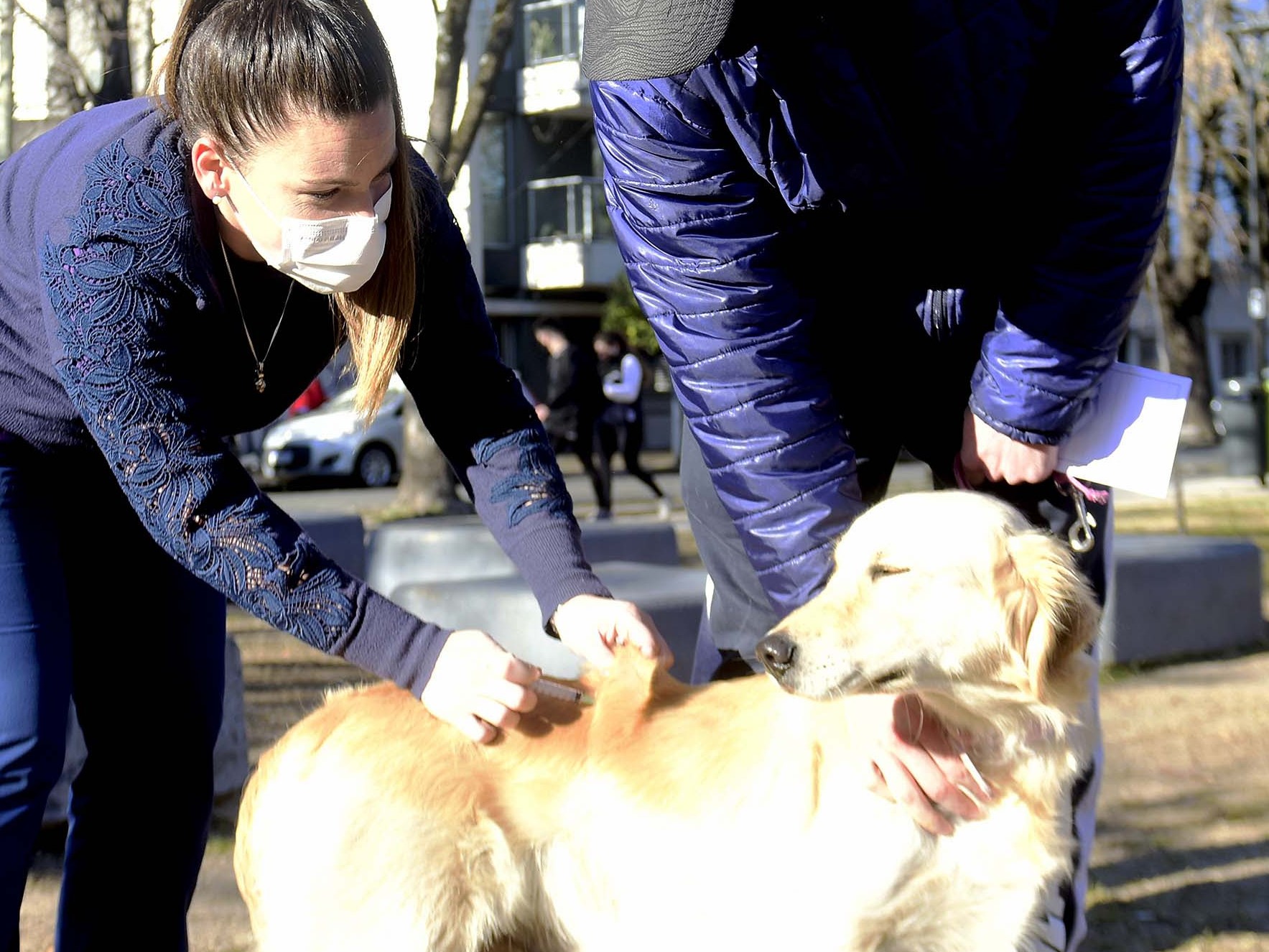 Puntos fijos y móviles de vacunación de mascotas en Berisso
