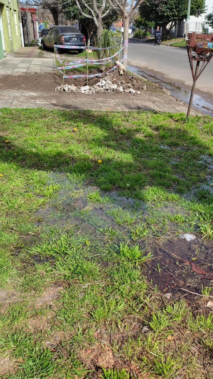Vecinos afirman que la red de agua no da para más