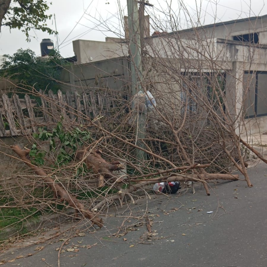 Por acción u omisión debe haber un responsable para que la basura se quede sin recoger