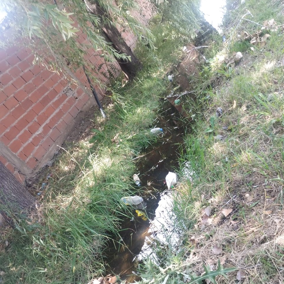 Barrio de Tricolores: Zanjas tapadas y el pasto que ganó la calle