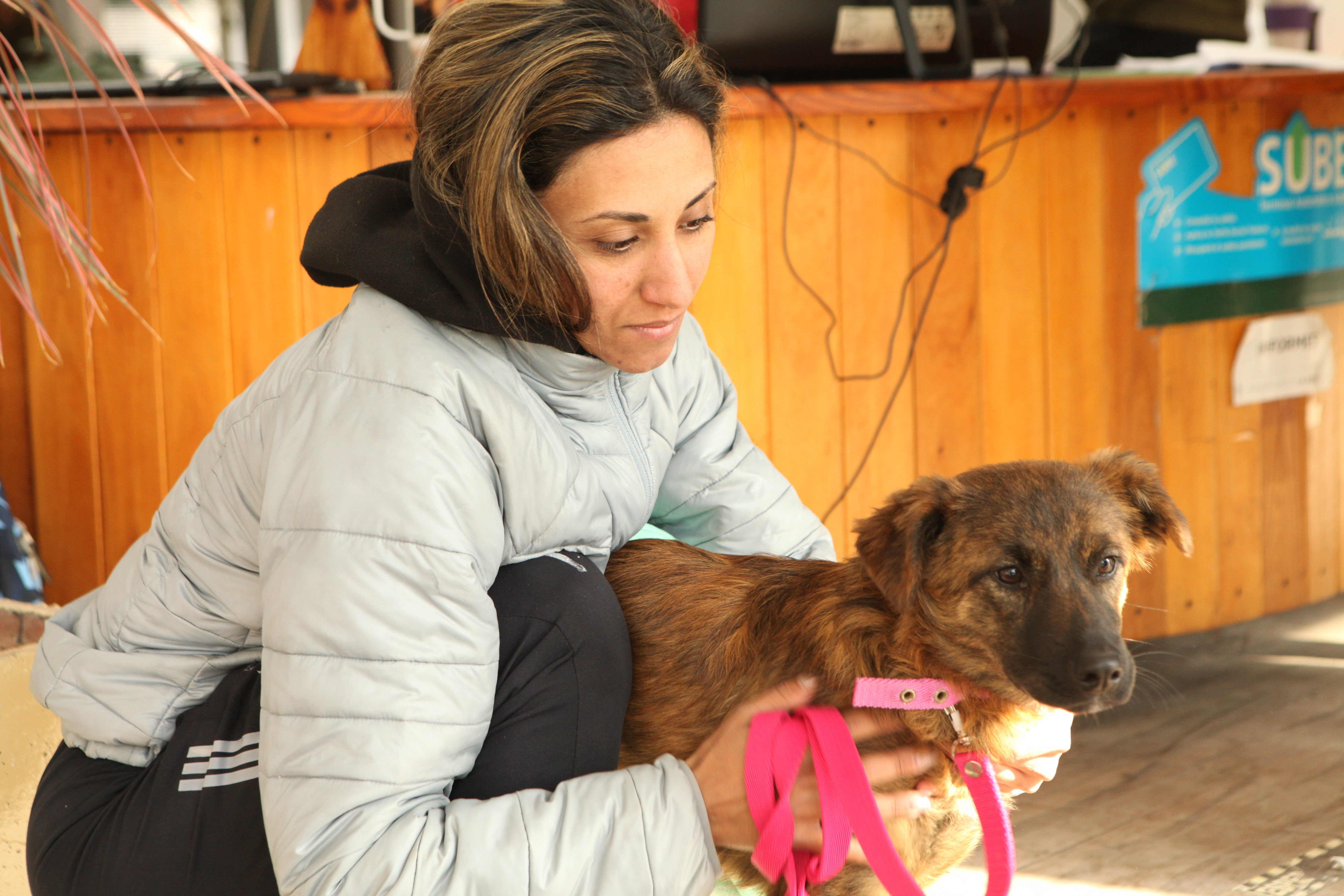 Tolosa: Jornada de vacunación y castración de animales