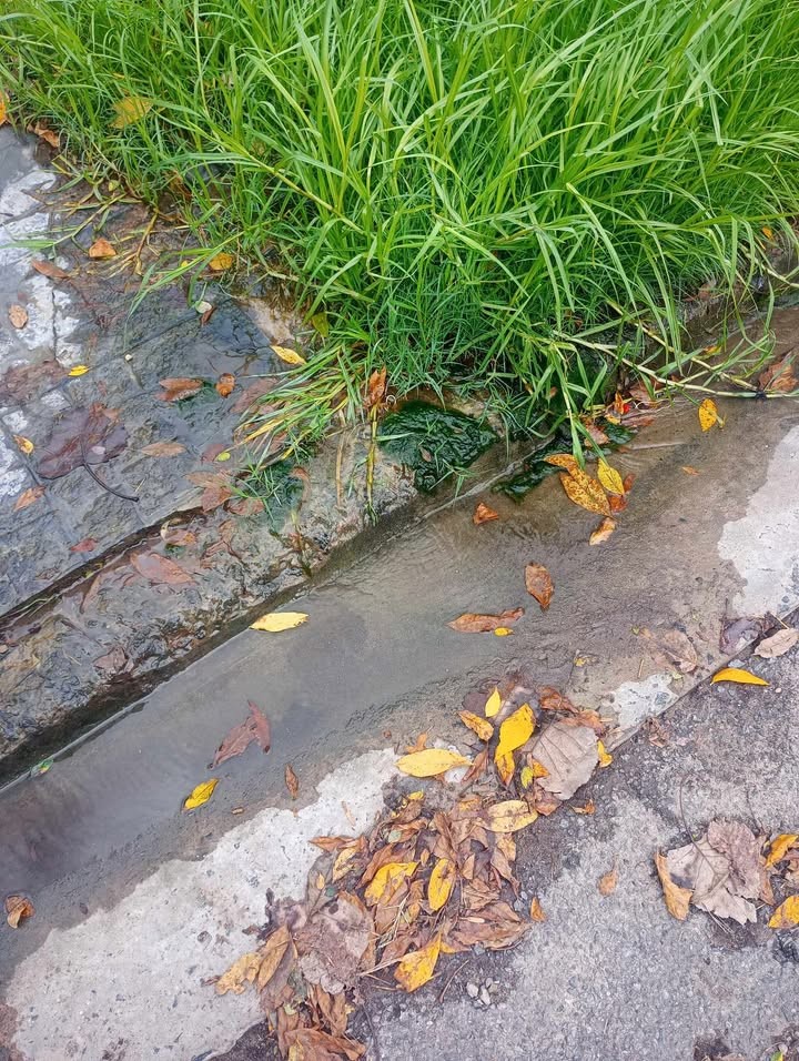 Barrio Monasterio: Reclamo por una pérdida de agua en 78 bis entre 10 y 11 B