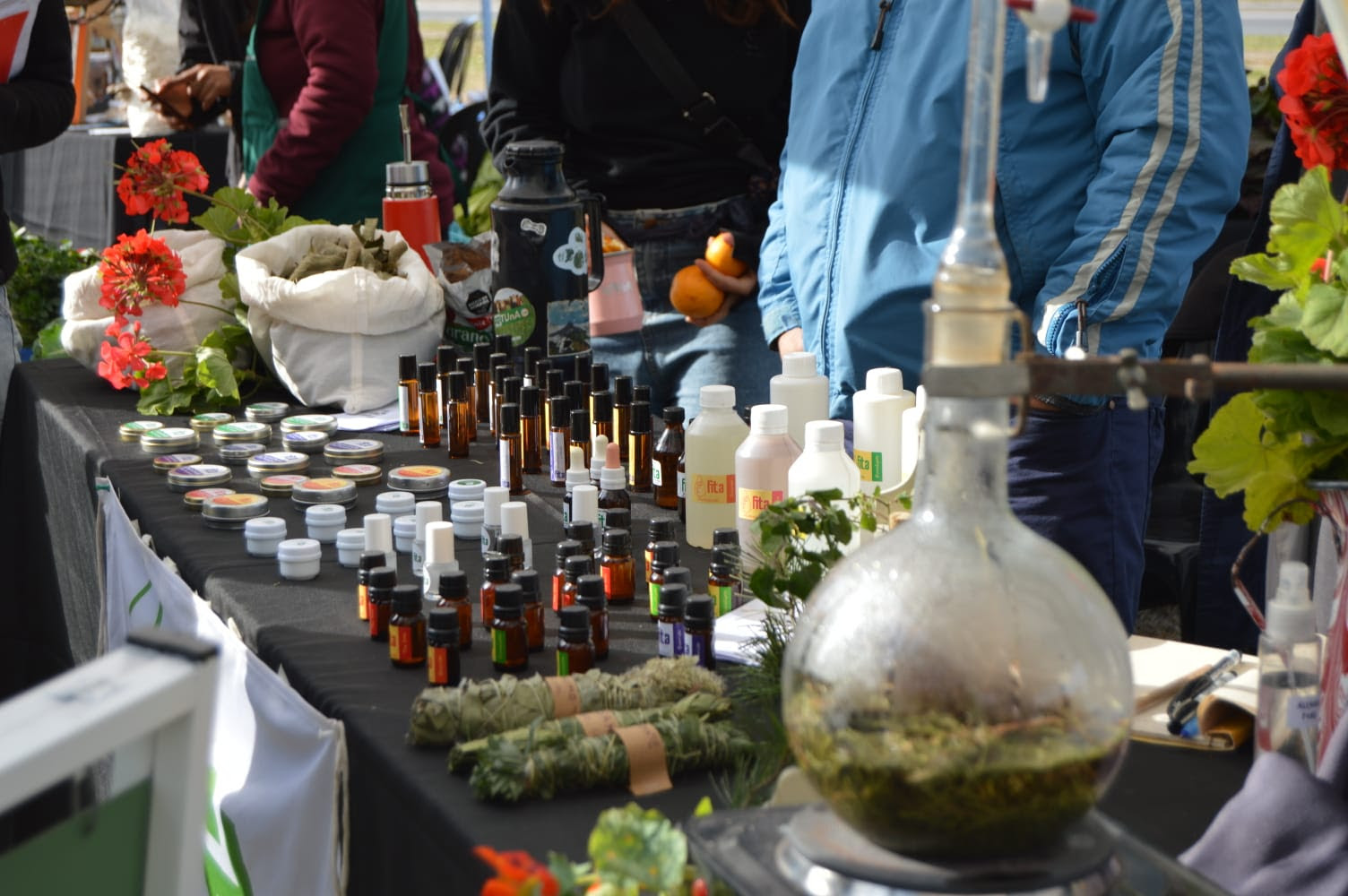 Del productor a la mesa: feria agroecológica, juegos y shows en el Paseo del Bosque