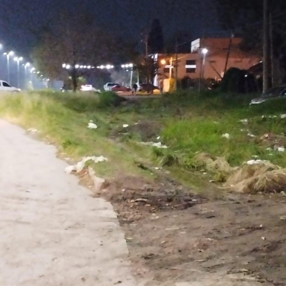 Nuevos reclamos por el corte de pasto y la suciedad en avenida 90