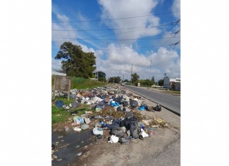 Cruzada de vecinos que quieren la Ruta 11 limpia: Demandan controles contra los infractores