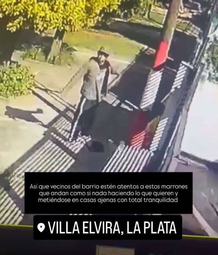 Alertan por la presencia de un ladrón suelto que robó en  115 entre 79 y 80