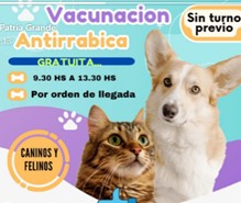 Martes: Jornada de vacunación de mascotas en Montoro