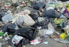 609 entre 1 y 115: La proliferación de basurales ya es un dolor de cabeza para la gestión