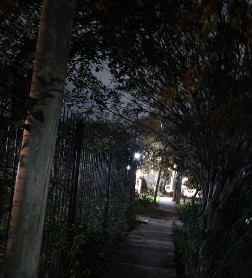 Sin luces en la cuadra se quejan de la inseguridad