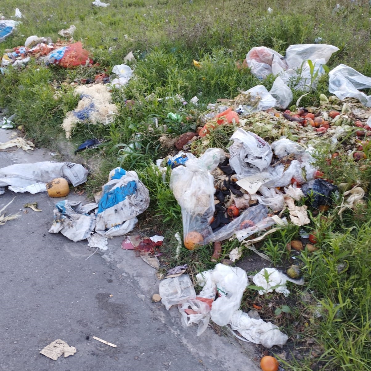 Vecina se queja de los basurales en pleno casco: "Se termina cuando les pongan multas"
